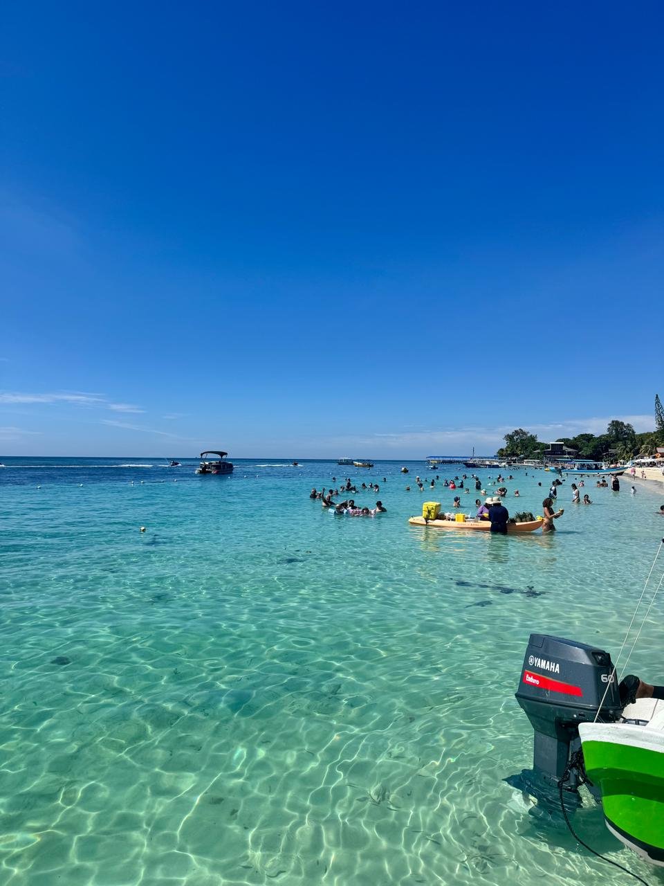 Snorkeling, Sloth & Monkey Park + Beach Tour